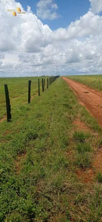 Fazenda à venda de 755 ha em Diamantino, MT, Brasil