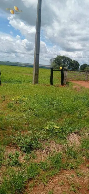 Fazenda à venda de 755 ha em Diamantino, MT, Brasil