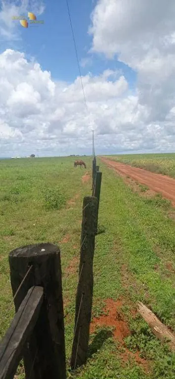 Fazenda à venda de 755 ha em Diamantino, MT, Brasil