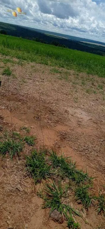 Fazenda à venda de 755 ha em Diamantino, MT, Brasil