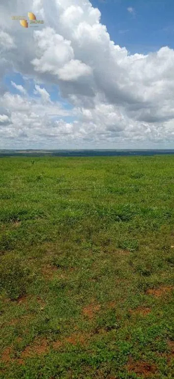 Fazenda à venda de 755 ha em Diamantino, MT, Brasil