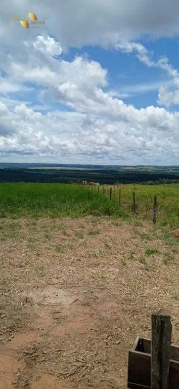 Fazenda à venda de 755 ha em Diamantino, MT, Brasil