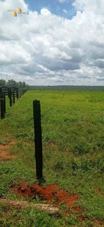 Fazenda à venda de 755 ha em Diamantino, MT, Brasil