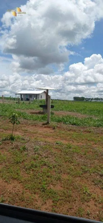Fazenda à venda de 755 ha em Diamantino, MT, Brasil