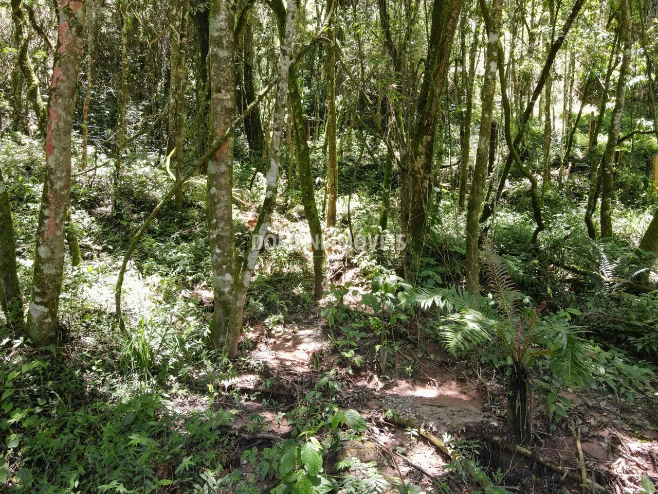 Terreno à venda de 970 m² em Campos do Jordão, SP, Brasil