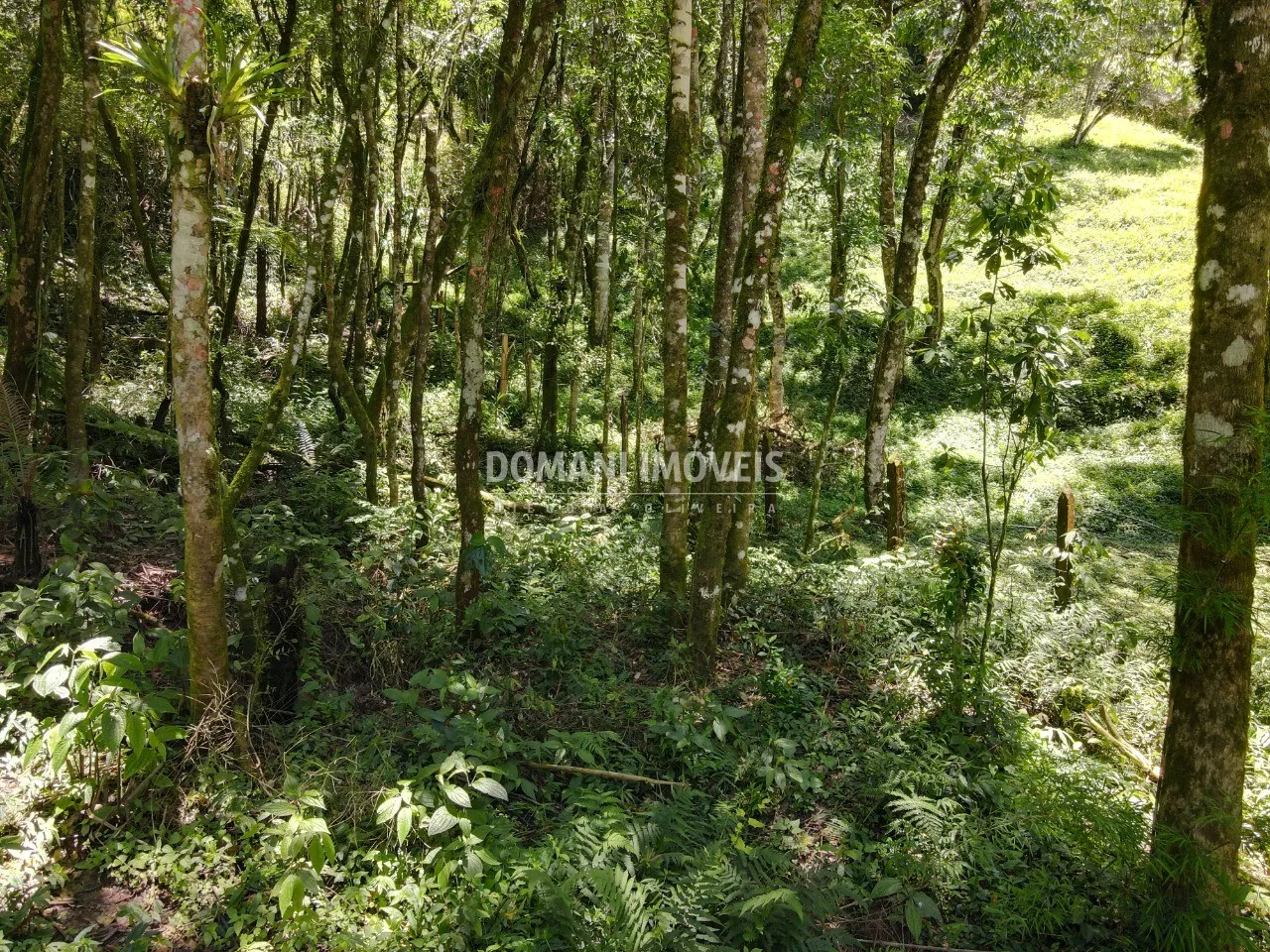 Terreno à venda de 970 m² em Campos do Jordão, SP, Brasil