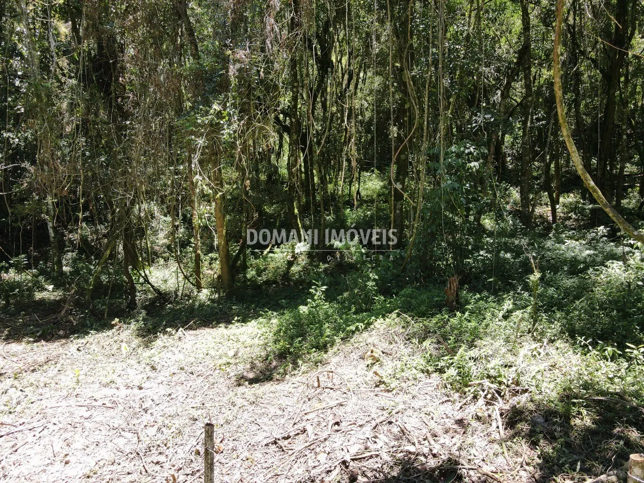 Terreno à venda de 970 m² em Campos do Jordão, SP, Brasil