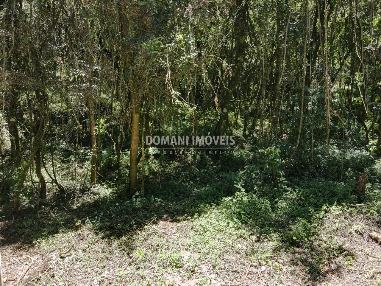 Terreno à venda de 970 m² em Campos do Jordão, SP, Brasil