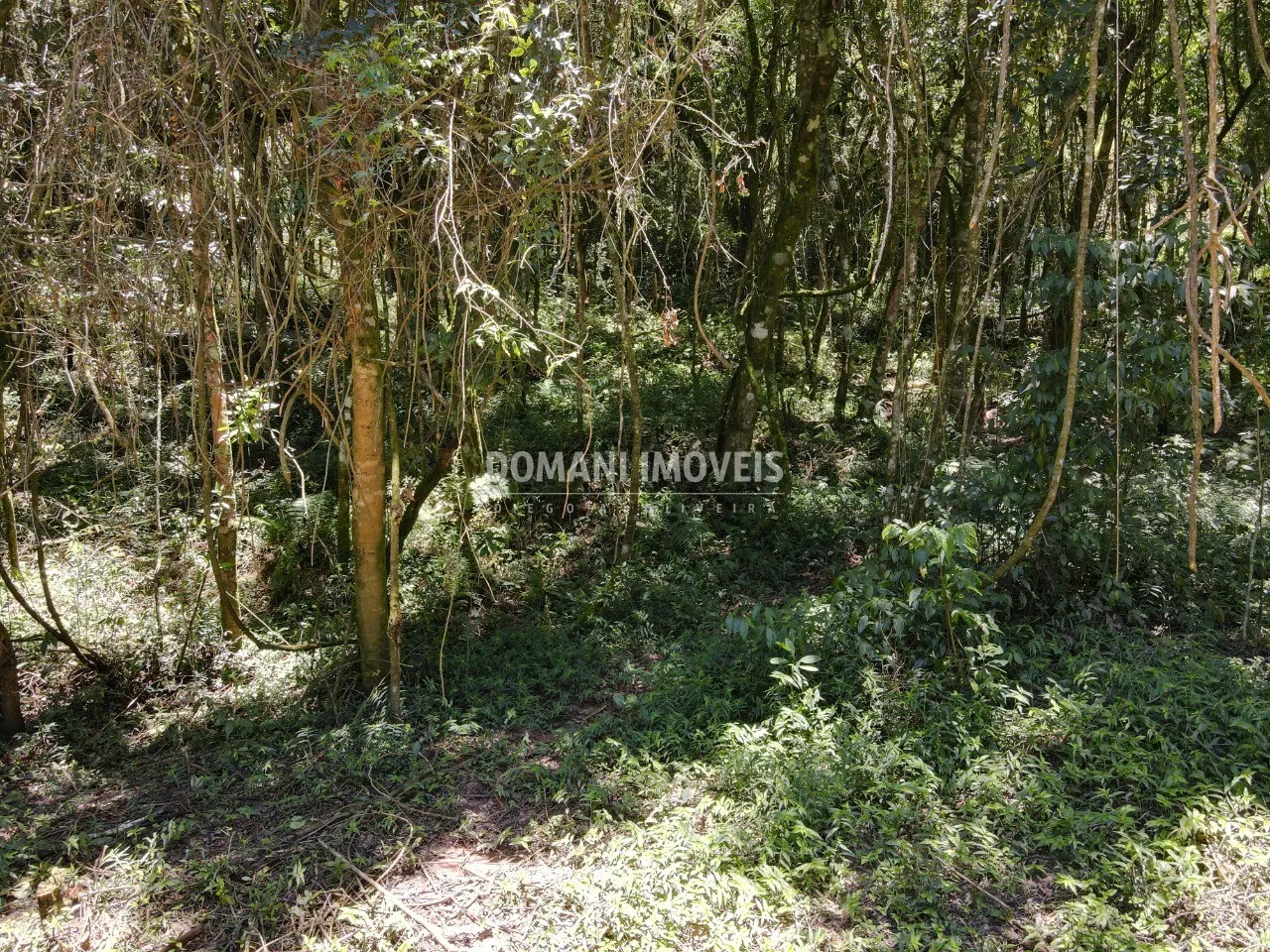 Terreno à venda de 970 m² em Campos do Jordão, SP, Brasil