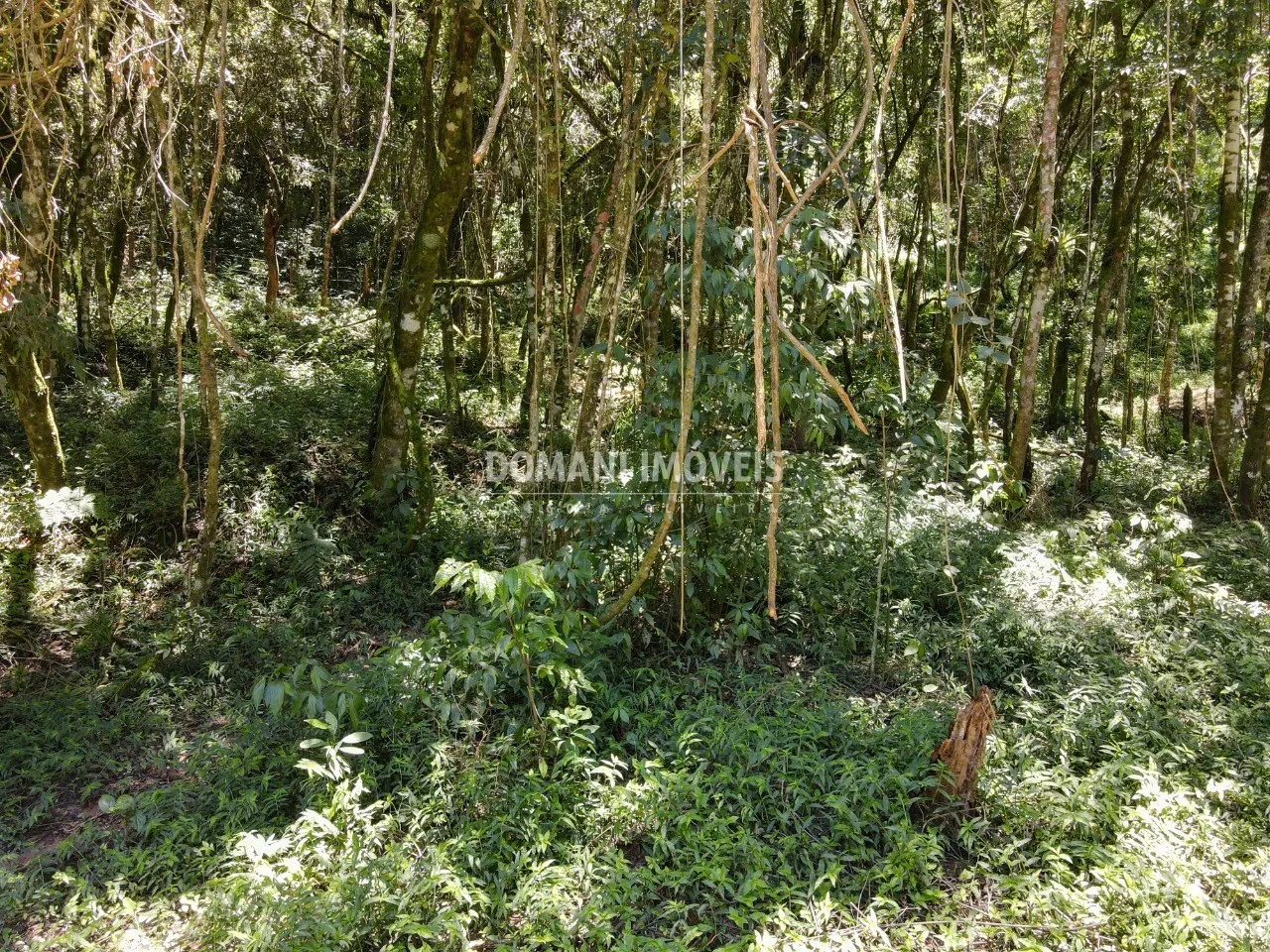 Terreno à venda de 970 m² em Campos do Jordão, SP, Brasil