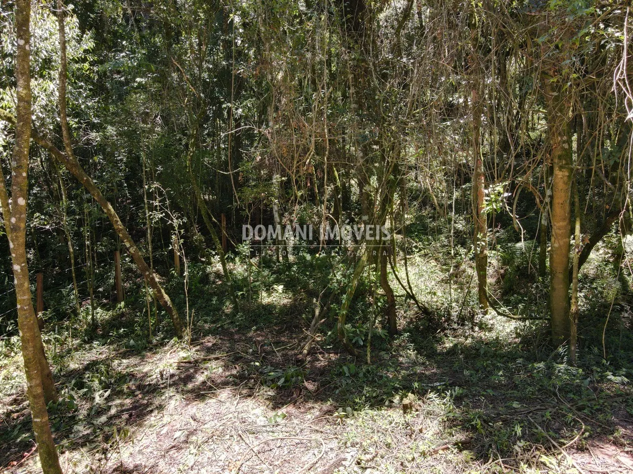 Terreno à venda de 970 m² em Campos do Jordão, SP, Brasil