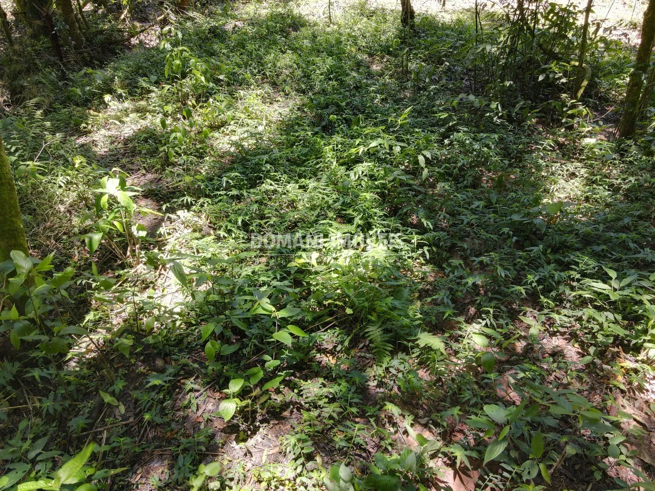 Terreno à venda de 970 m² em Campos do Jordão, SP, Brasil
