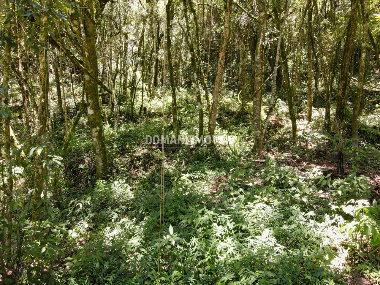 Terreno à venda de 970 m² em Campos do Jordão, SP, Brasil