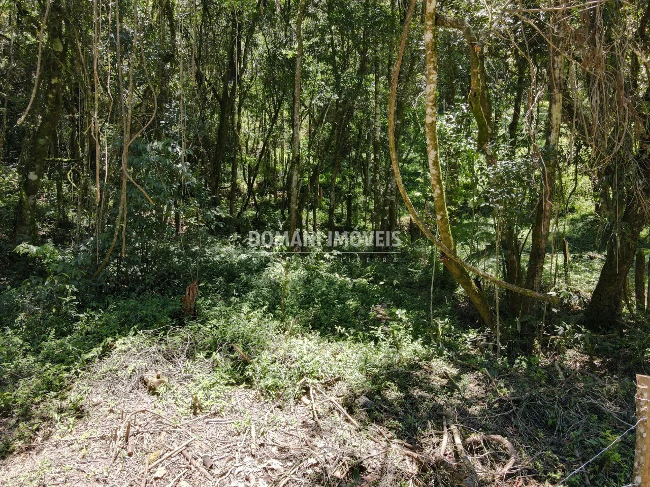 Terreno à venda de 970 m² em Campos do Jordão, SP, Brasil
