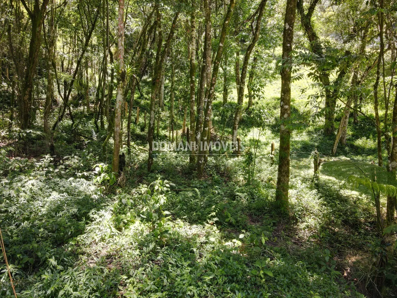 Terreno à venda de 970 m² em Campos do Jordão, SP, Brasil