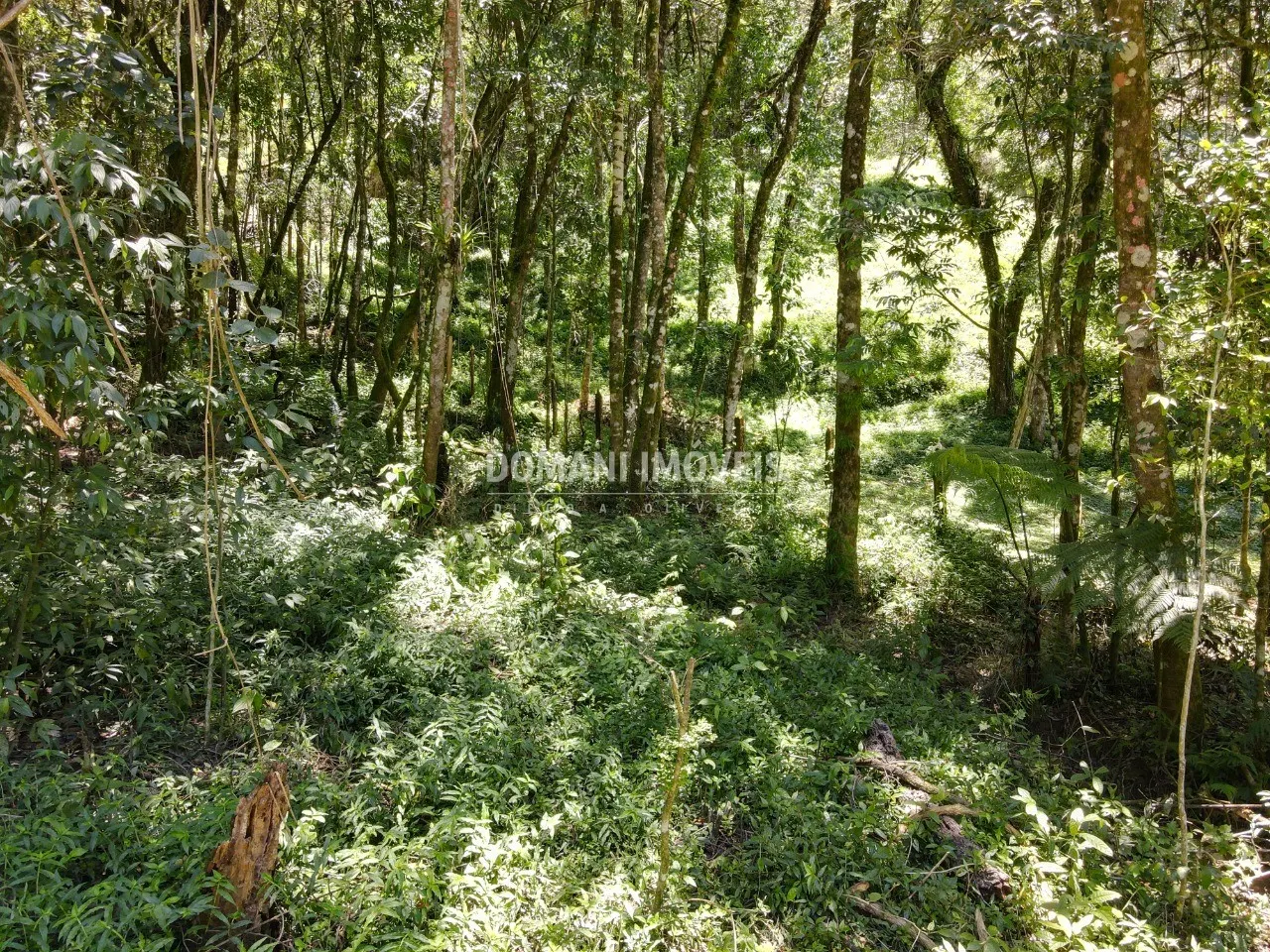 Terreno à venda de 970 m² em Campos do Jordão, SP, Brasil