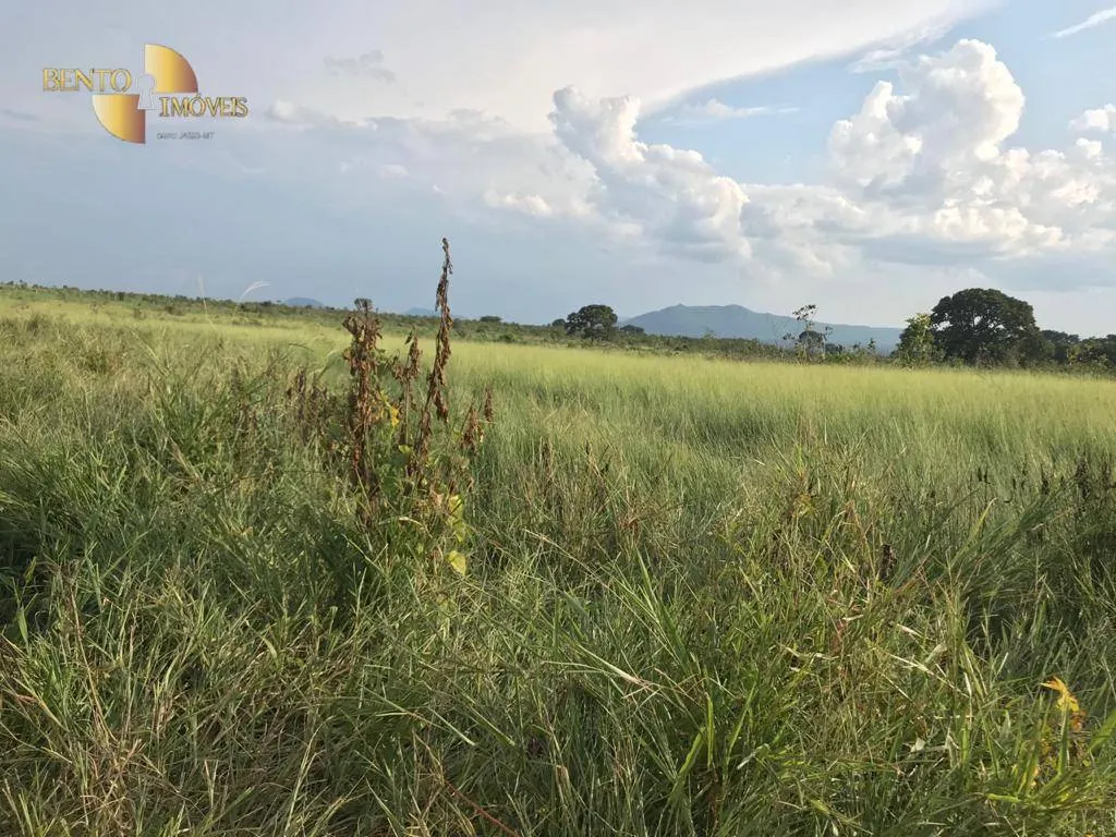 Fazenda à venda de 350 ha em Rosário Oeste, MT, Brasil