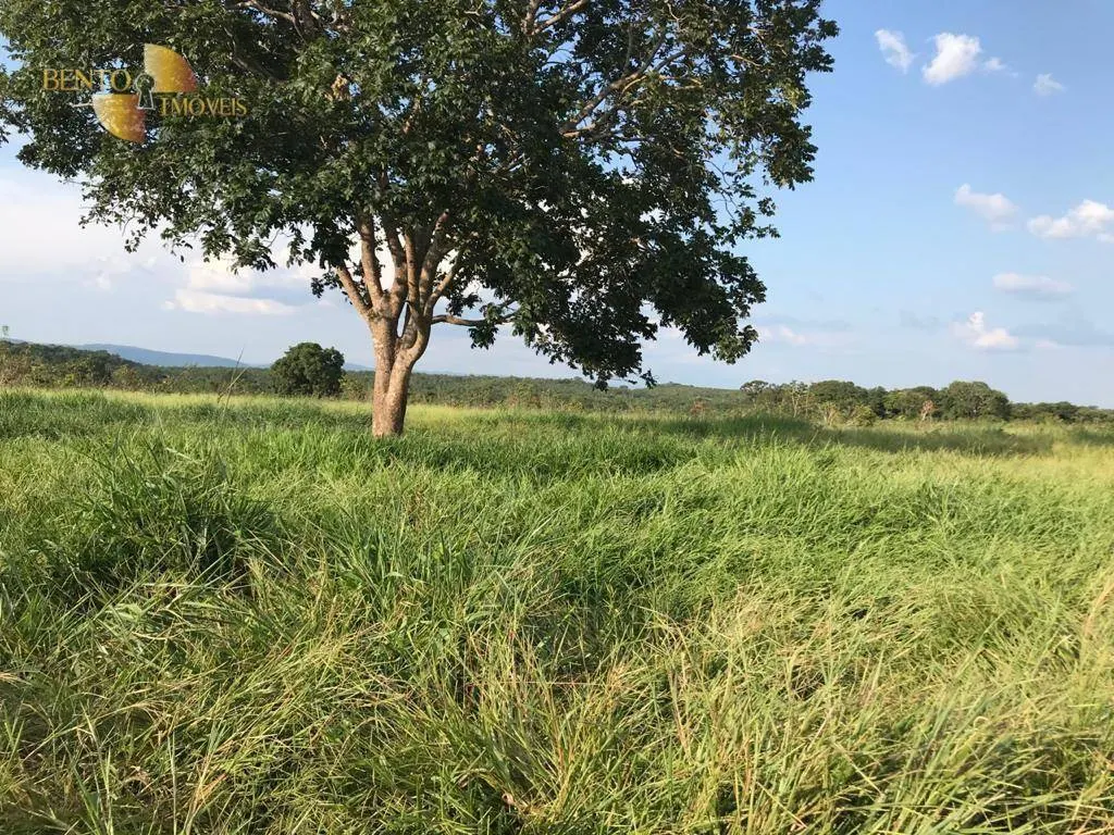 Fazenda à venda de 350 ha em Rosário Oeste, MT, Brasil