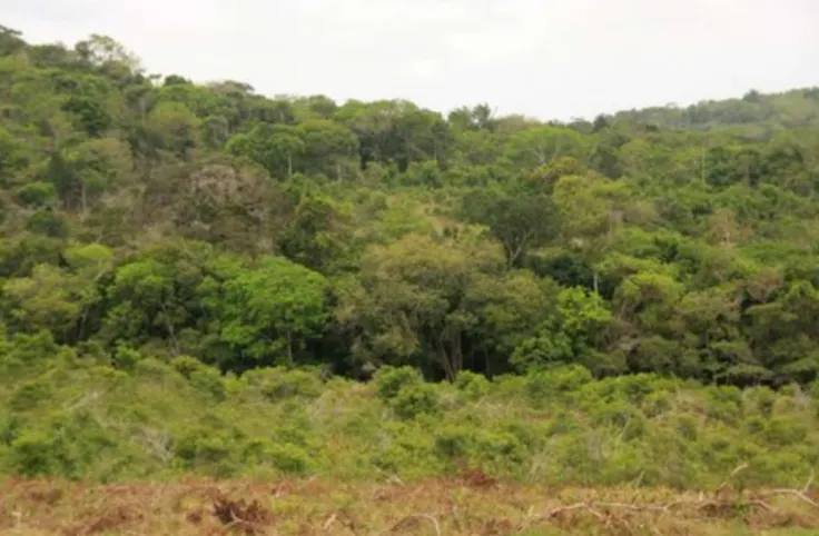 Fazenda à venda de 705 ha em Una, BA, Brasil
