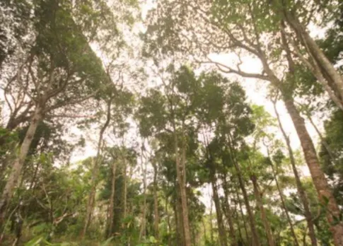 Fazenda à venda de 705 ha em Una, BA, Brasil