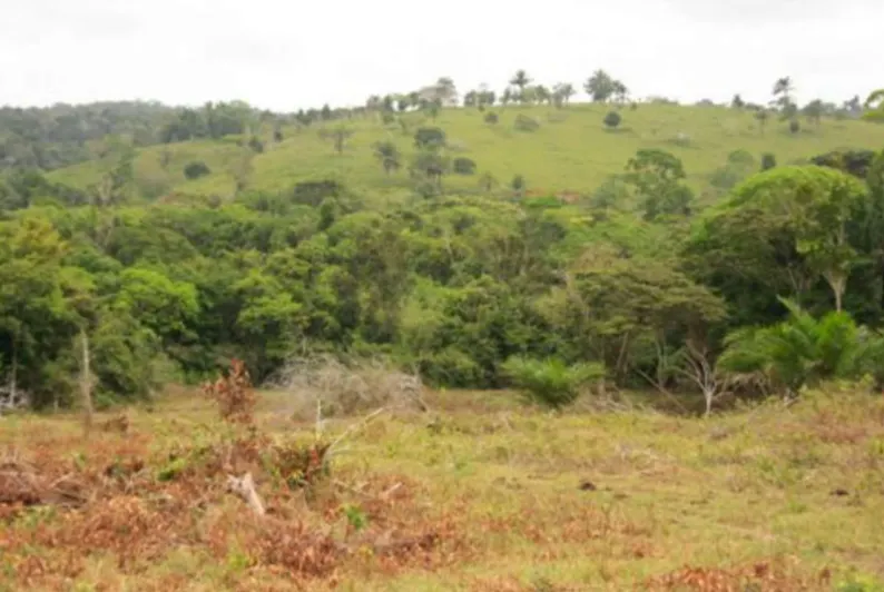 Fazenda à venda de 705 ha em Una, BA, Brasil