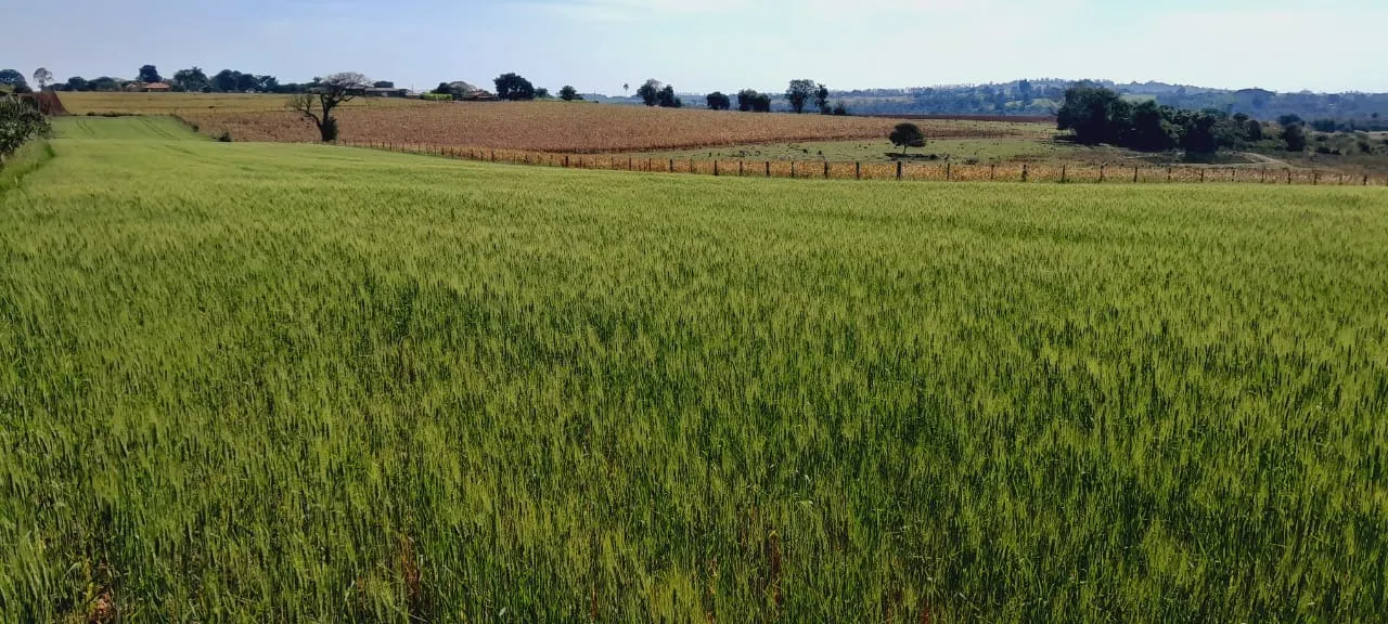 Fazenda à venda de 25 ha em Cesário Lange, SP, Brasil