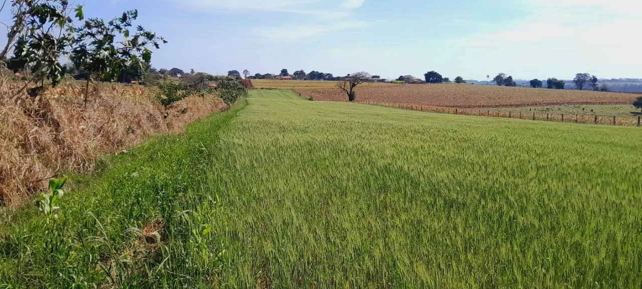 Fazenda à venda de 25 ha em Cesário Lange, SP, Brasil