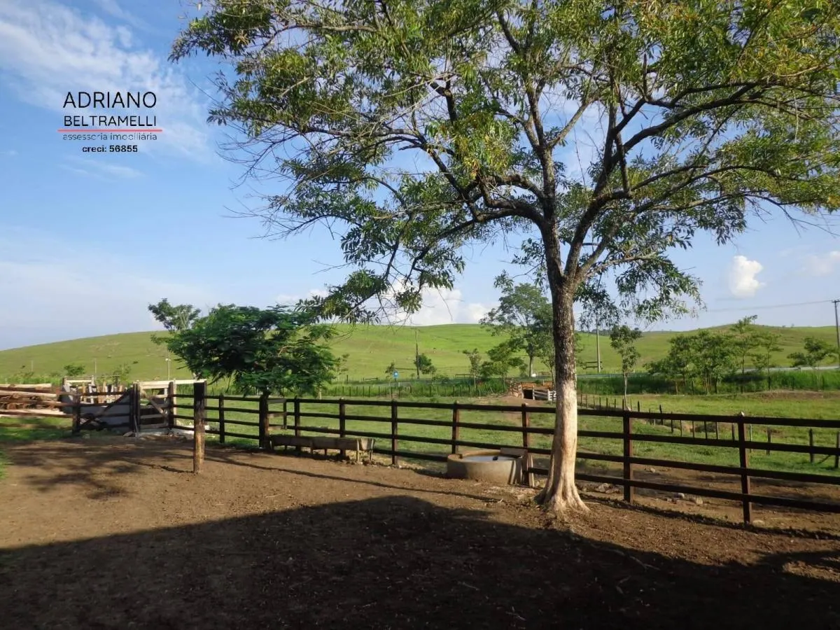 Small farm for sale of 10 acres in Cachoeira Paulista, SP, Brazil