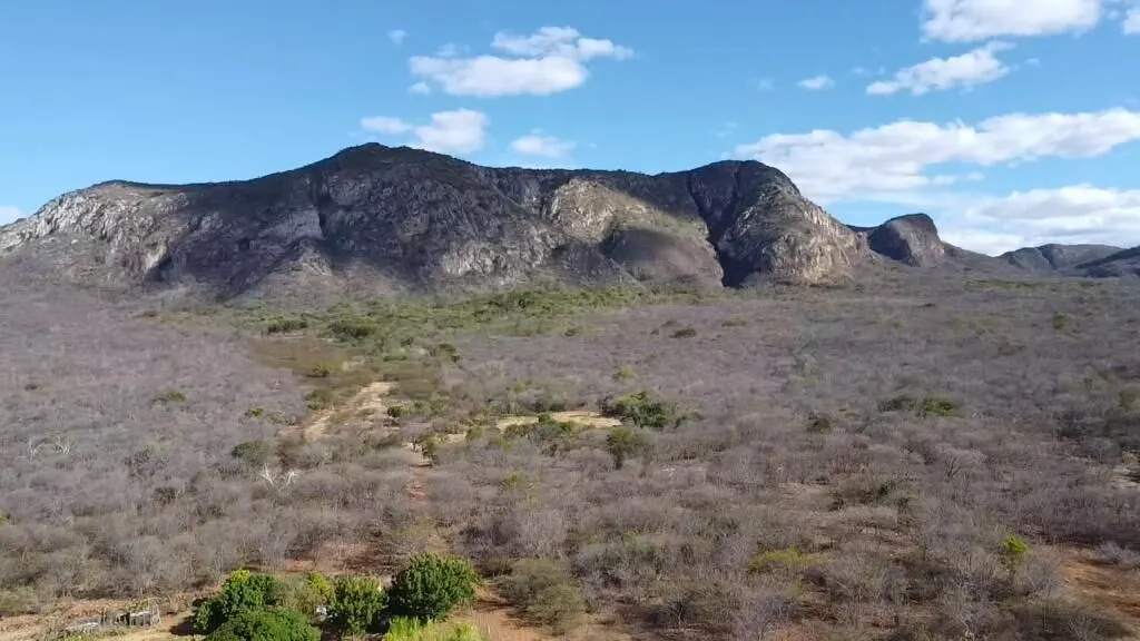 Fazenda à venda de 580 ha em Oliveira dos Brejinhos, BA, Brasil