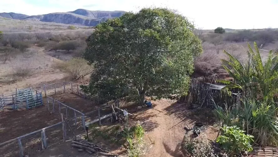 Fazenda à venda de 580 ha em Oliveira dos Brejinhos, BA, Brasil