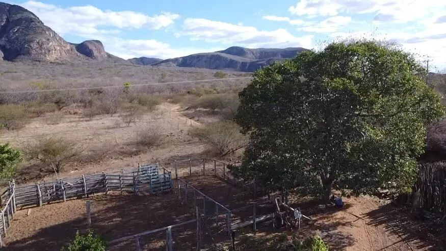 Fazenda à venda de 580 ha em Oliveira dos Brejinhos, BA, Brasil