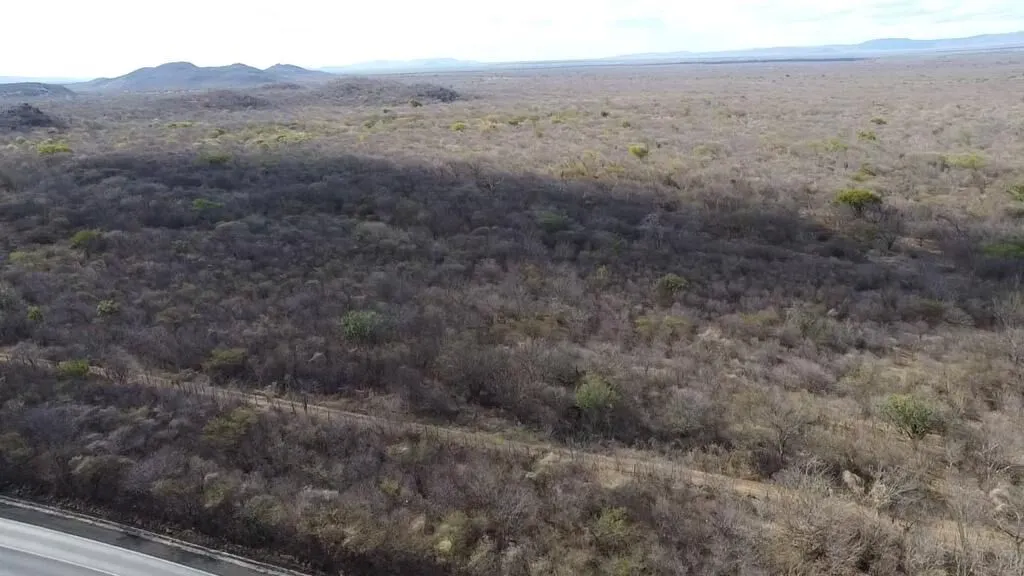Fazenda à venda de 580 ha em Oliveira dos Brejinhos, BA, Brasil