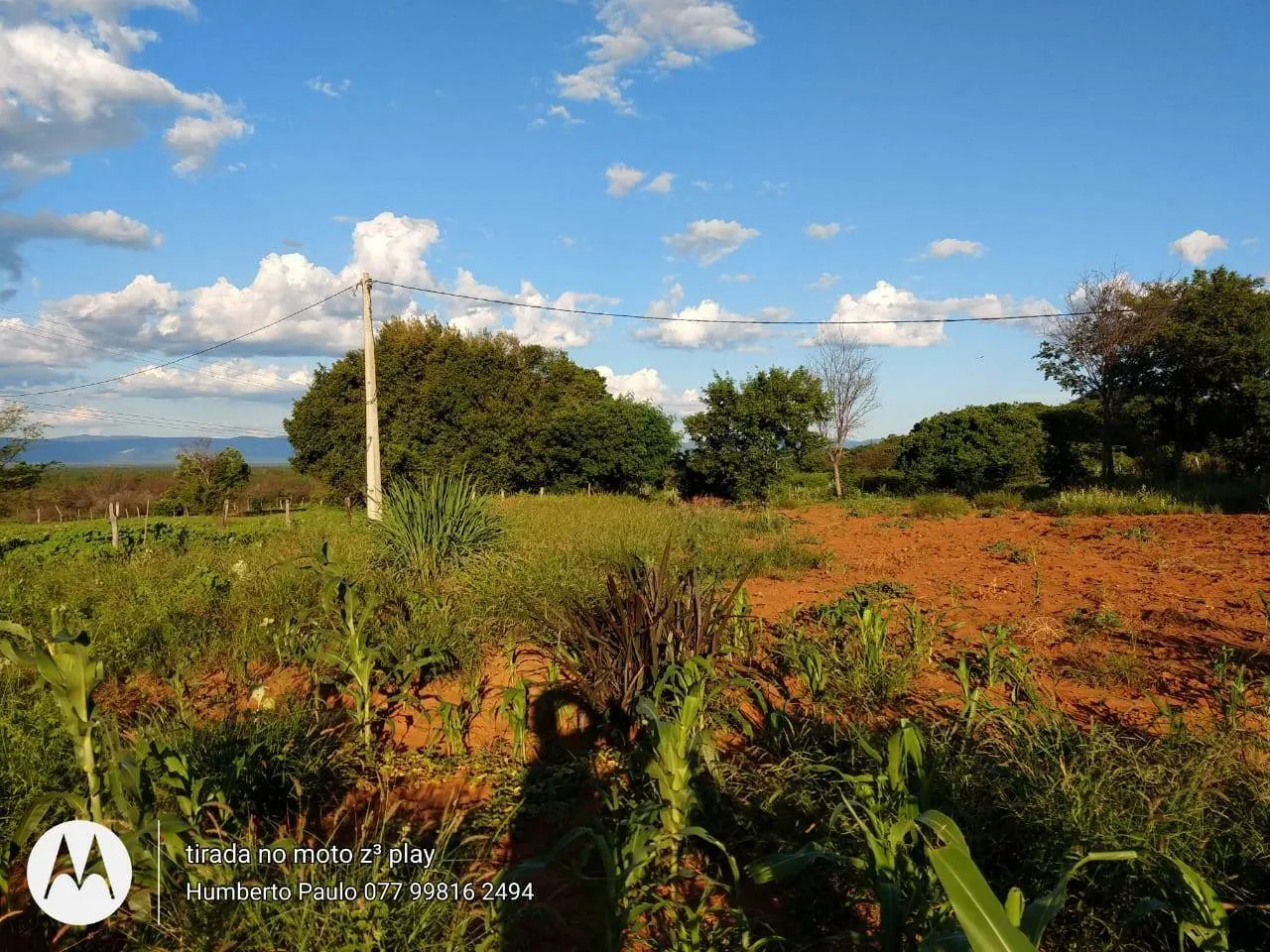 Fazenda à venda de 580 ha em Oliveira dos Brejinhos, BA, Brasil