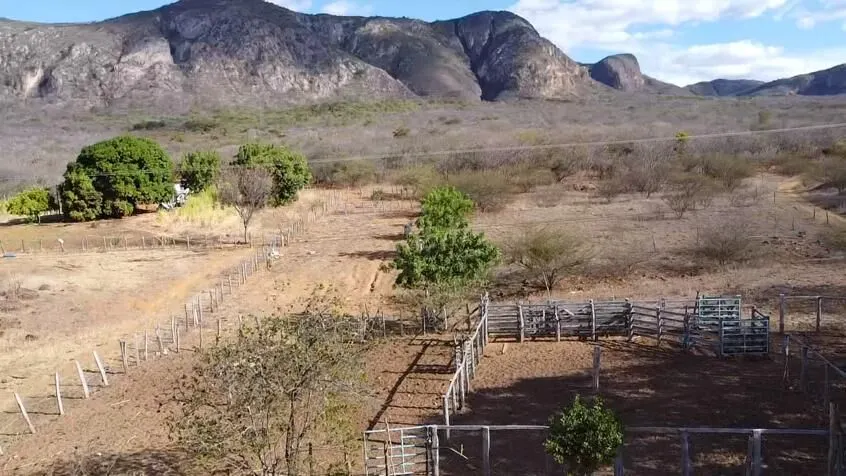 Fazenda à venda de 580 ha em Oliveira dos Brejinhos, BA, Brasil