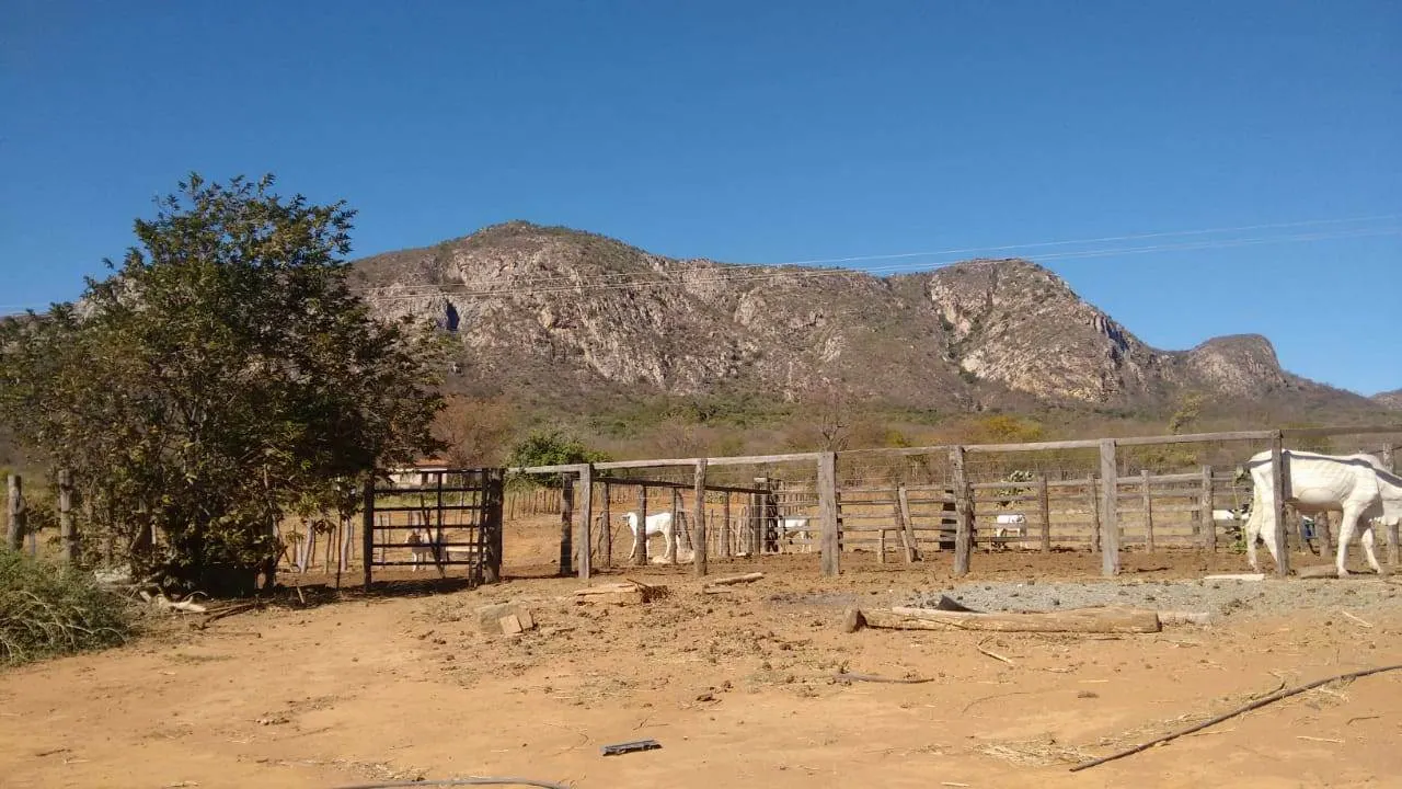 Fazenda à venda de 580 ha em Oliveira dos Brejinhos, BA, Brasil