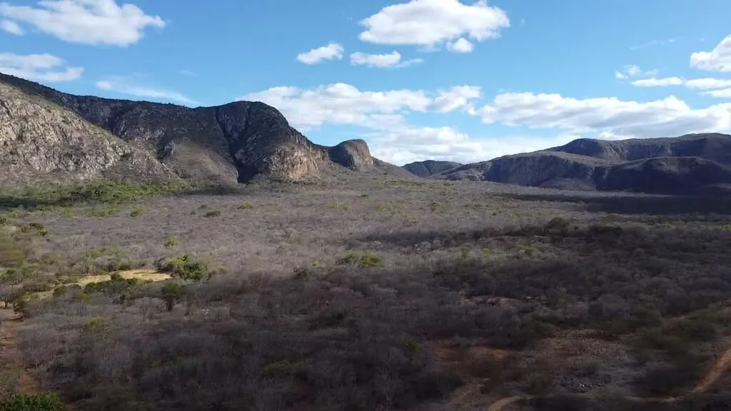 Fazenda à venda de 580 ha em Oliveira dos Brejinhos, BA, Brasil