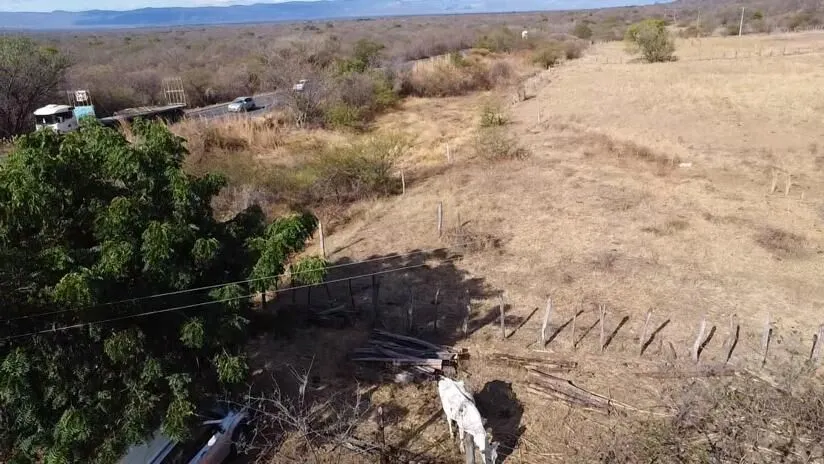 Fazenda à venda de 580 ha em Oliveira dos Brejinhos, BA, Brasil