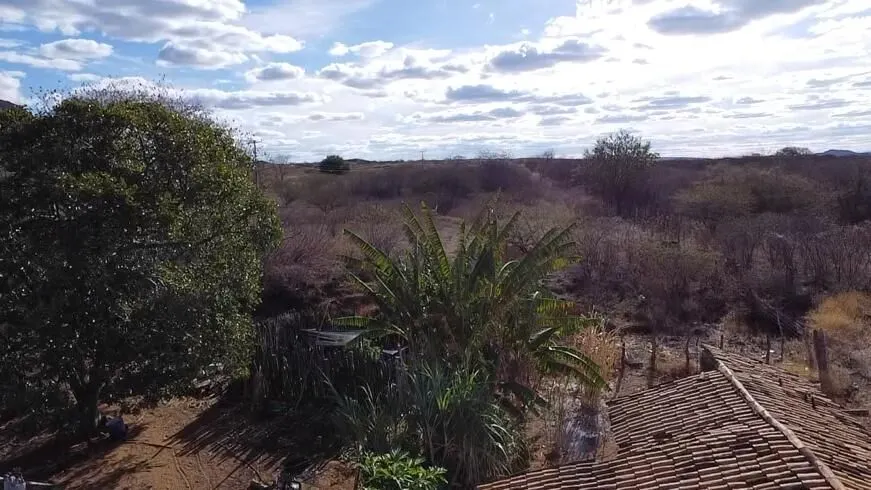 Fazenda à venda de 580 ha em Oliveira dos Brejinhos, BA, Brasil