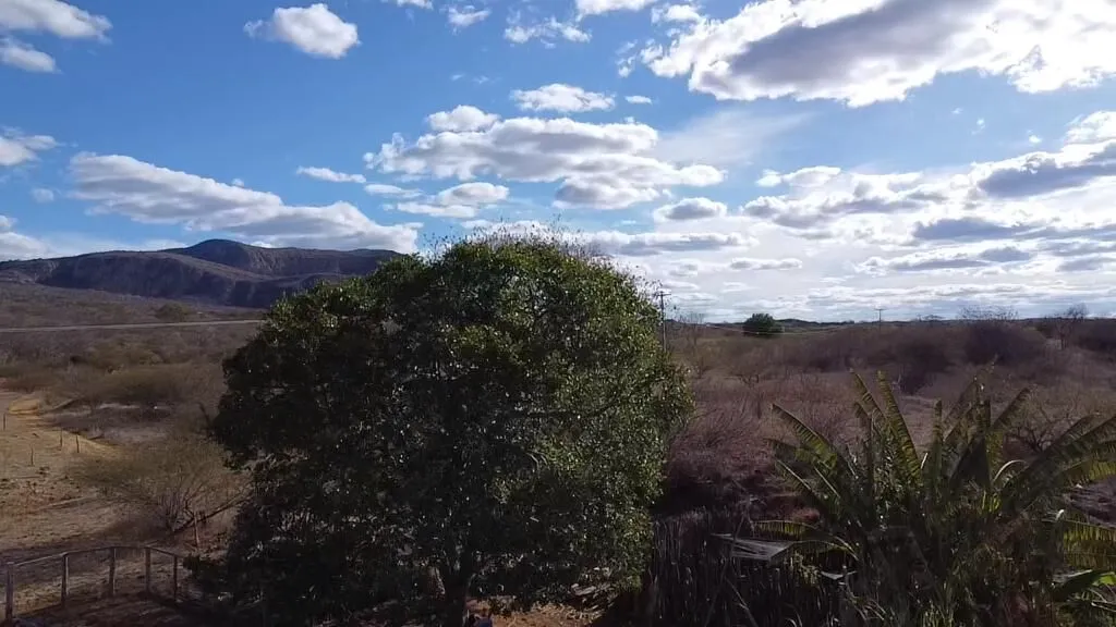 Fazenda à venda de 580 ha em Oliveira dos Brejinhos, BA, Brasil