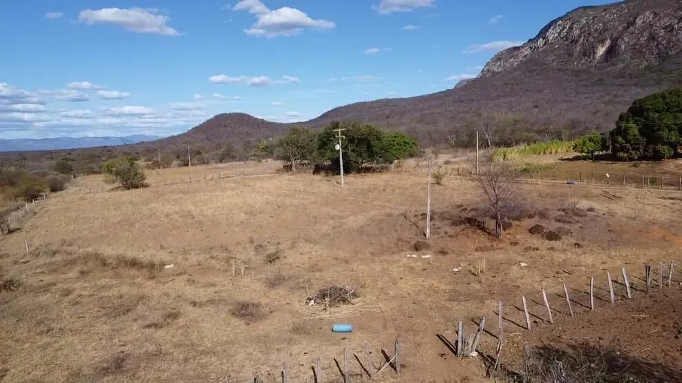 Fazenda à venda de 580 ha em Oliveira dos Brejinhos, BA, Brasil