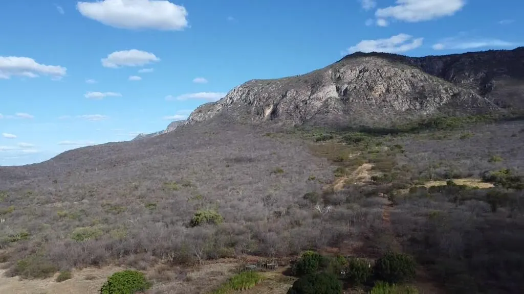 Fazenda à venda de 580 ha em Oliveira dos Brejinhos, BA, Brasil