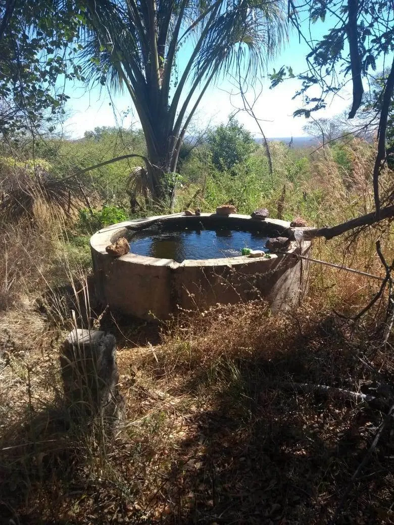 Fazenda à venda de 580 ha em Oliveira dos Brejinhos, BA, Brasil