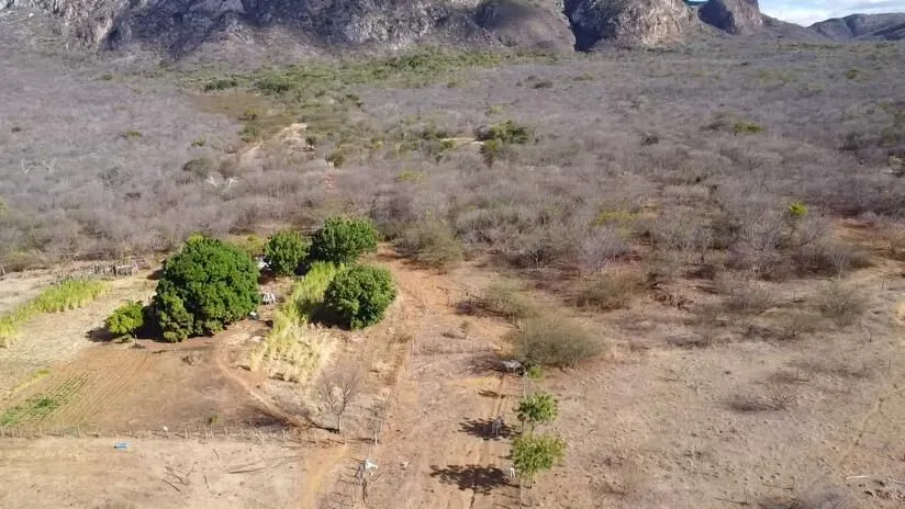 Fazenda à venda de 580 ha em Oliveira dos Brejinhos, BA, Brasil