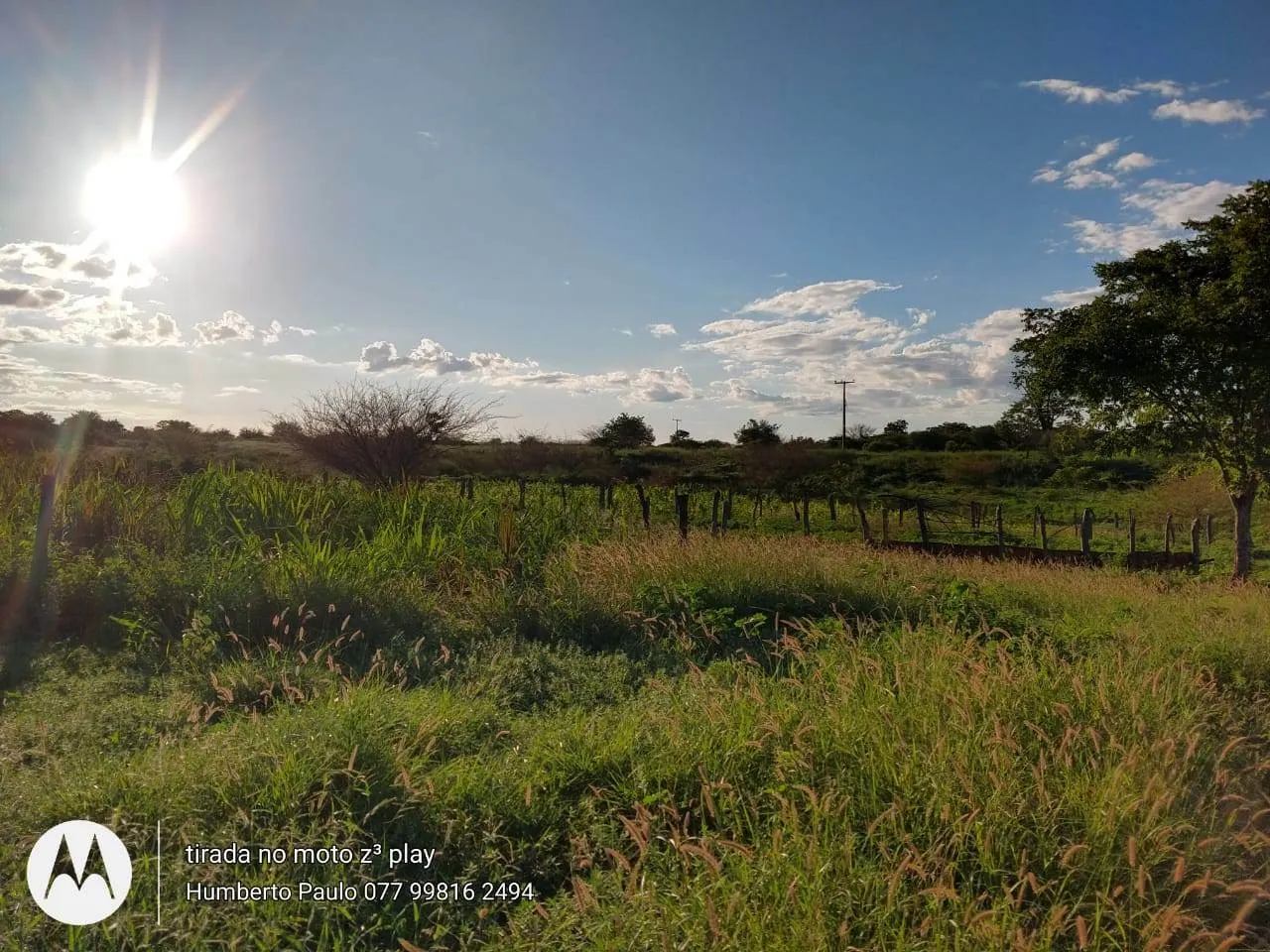 Fazenda à venda de 580 ha em Oliveira dos Brejinhos, BA, Brasil