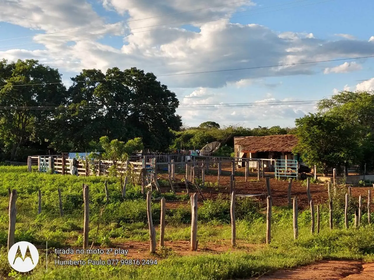 Fazenda à venda de 580 ha em Oliveira dos Brejinhos, BA, Brasil