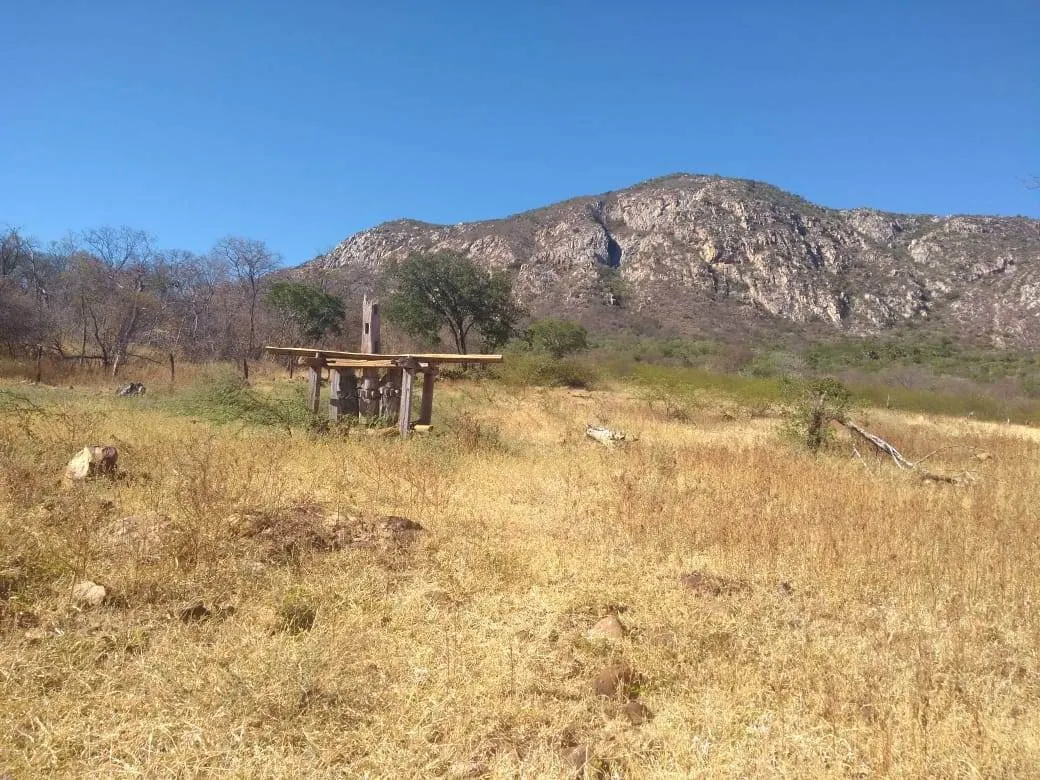 Fazenda à venda de 580 ha em Oliveira dos Brejinhos, BA, Brasil