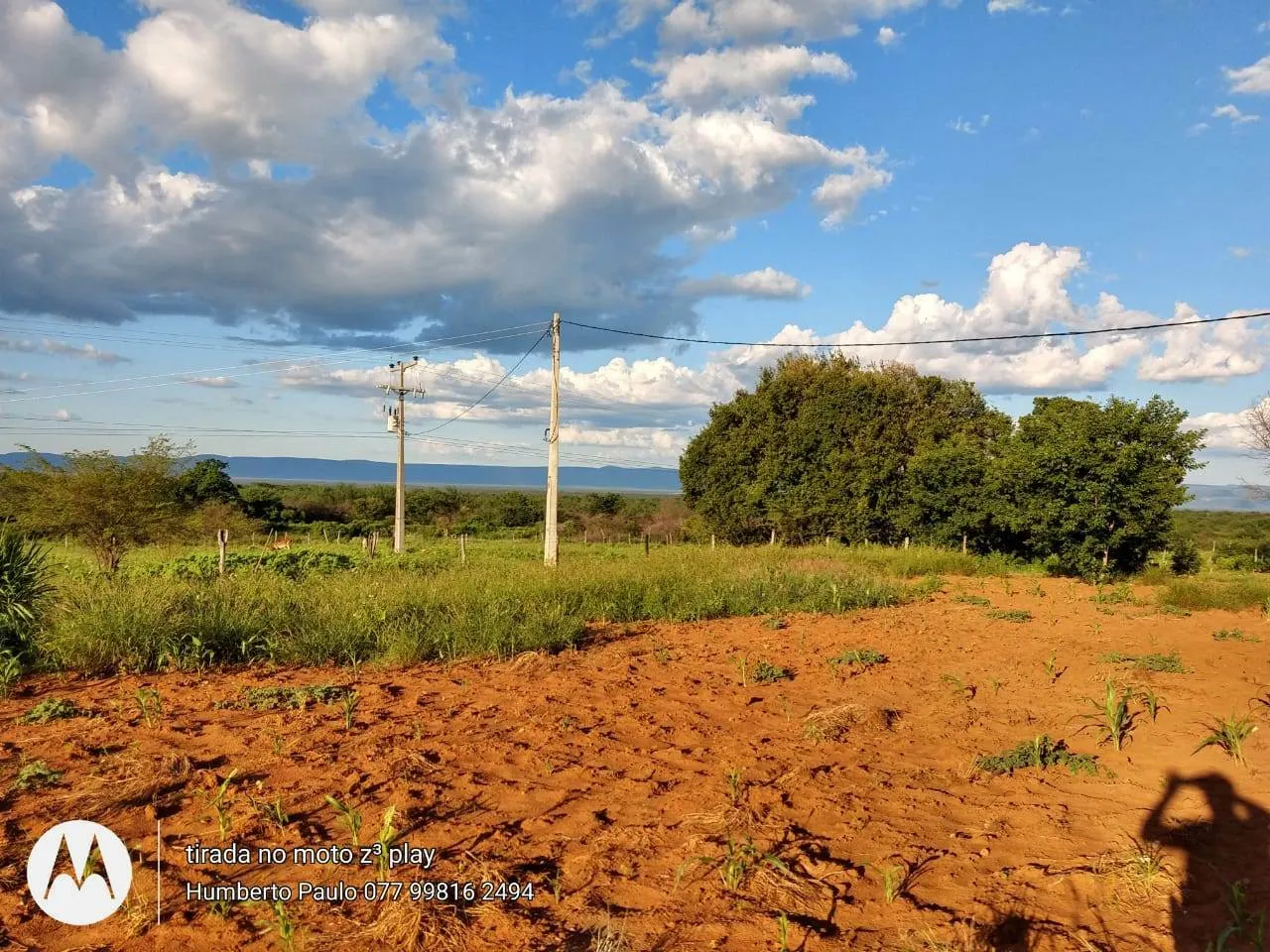 Fazenda à venda de 580 ha em Oliveira dos Brejinhos, BA, Brasil