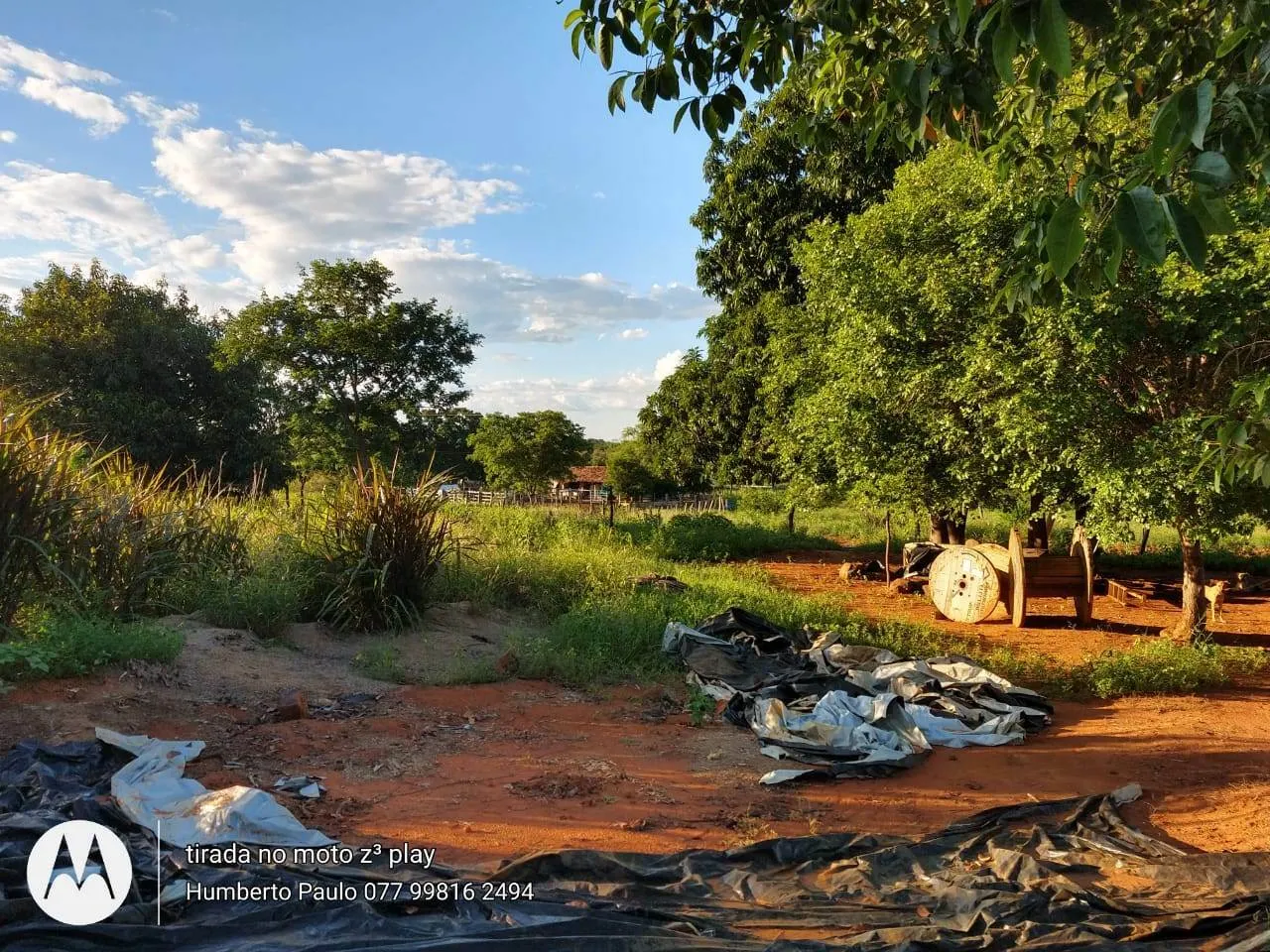Fazenda à venda de 580 ha em Oliveira dos Brejinhos, BA, Brasil
