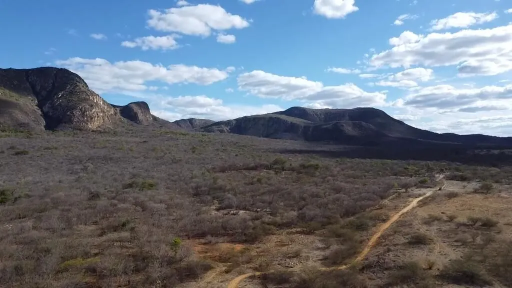 Fazenda à venda de 580 ha em Oliveira dos Brejinhos, BA, Brasil
