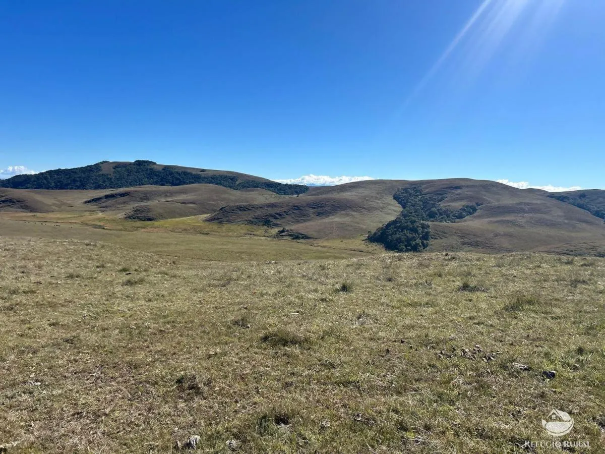 Farm for sale of 447 acres in Areias, SP, Brazil